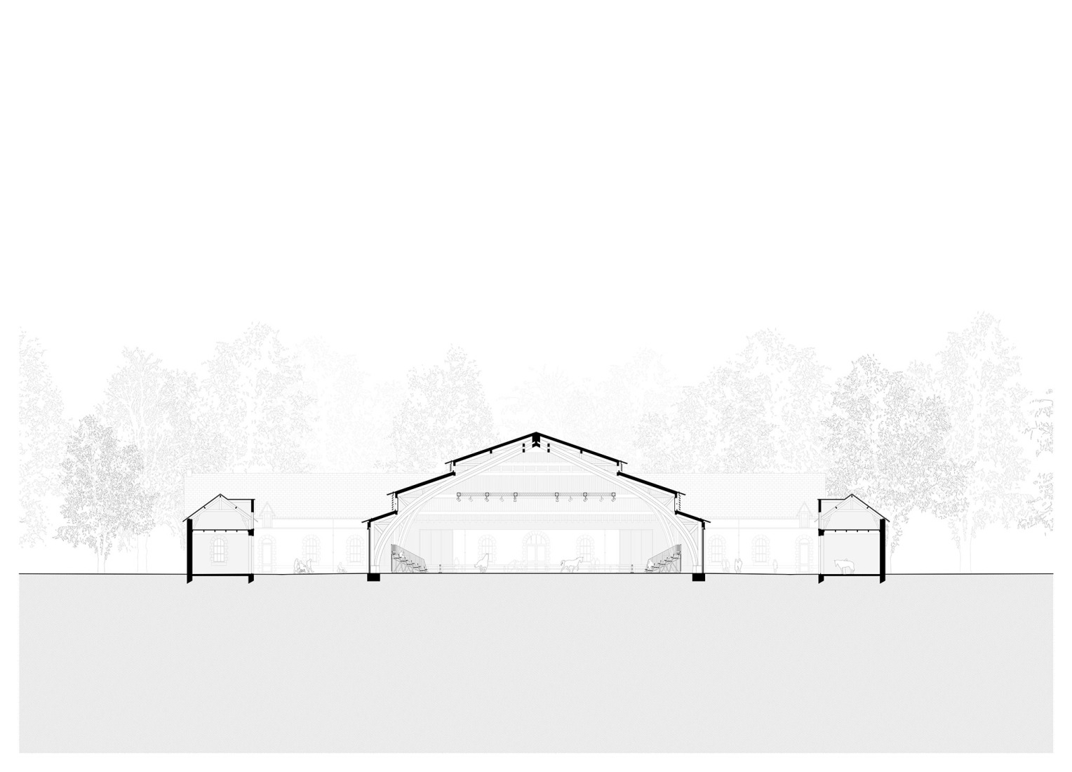 Sección. Sala Espectáculos Haras Nacional de Hennebont por K architectures. 