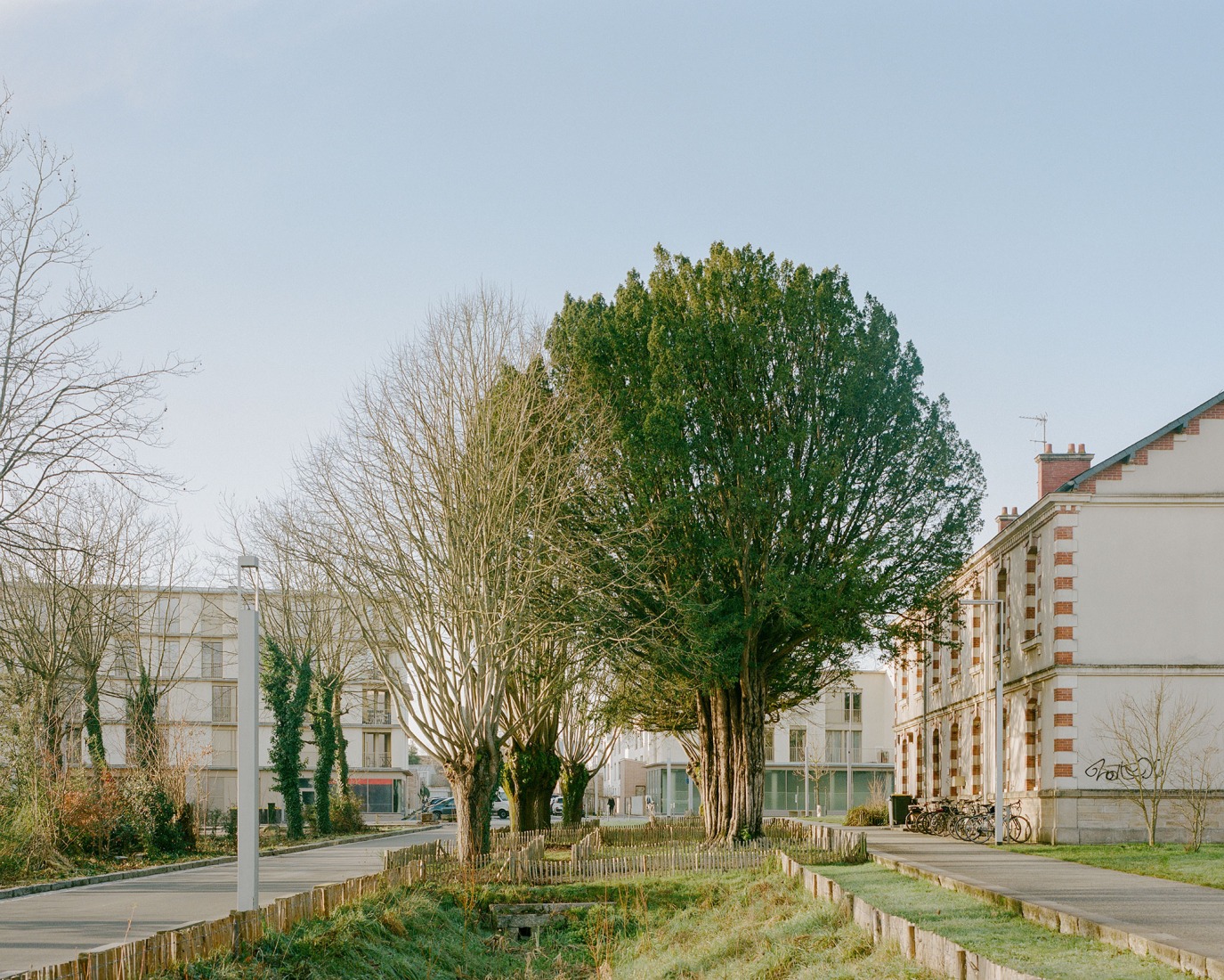 81 housing units by Atelier d’Architecture Ramdam + Palast. Photograph by Charles Bouchaib.
