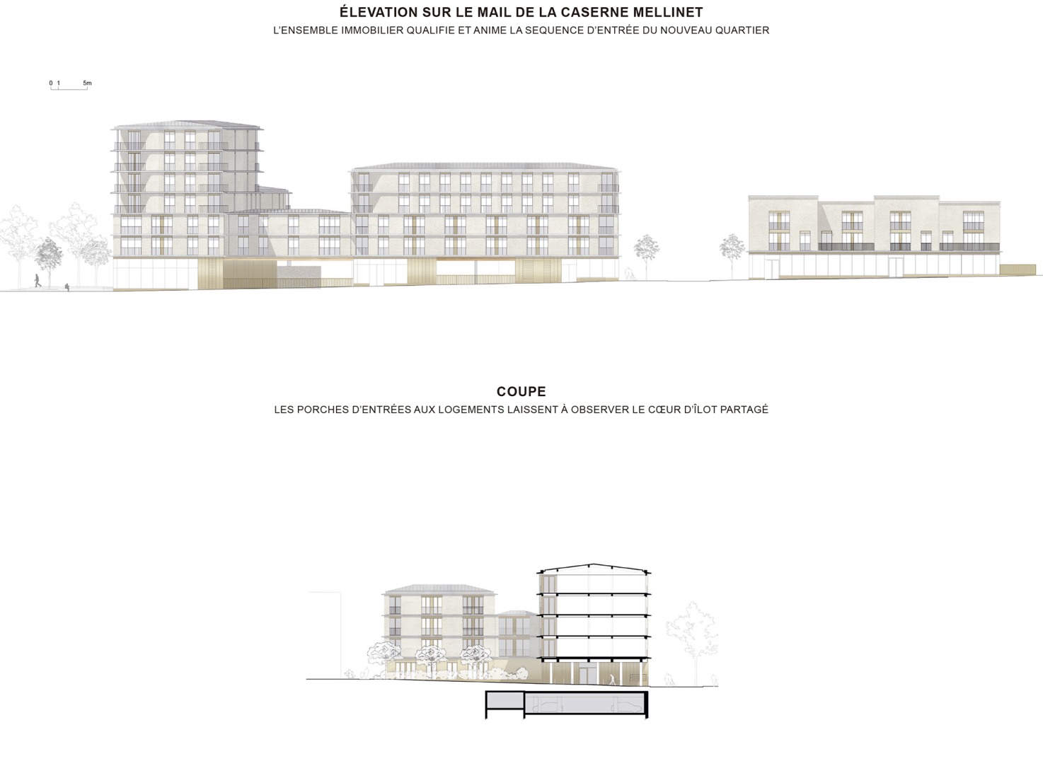 Elevation and section. 81 housing units by Atelier d’Architecture Ramdam + Palast. 
