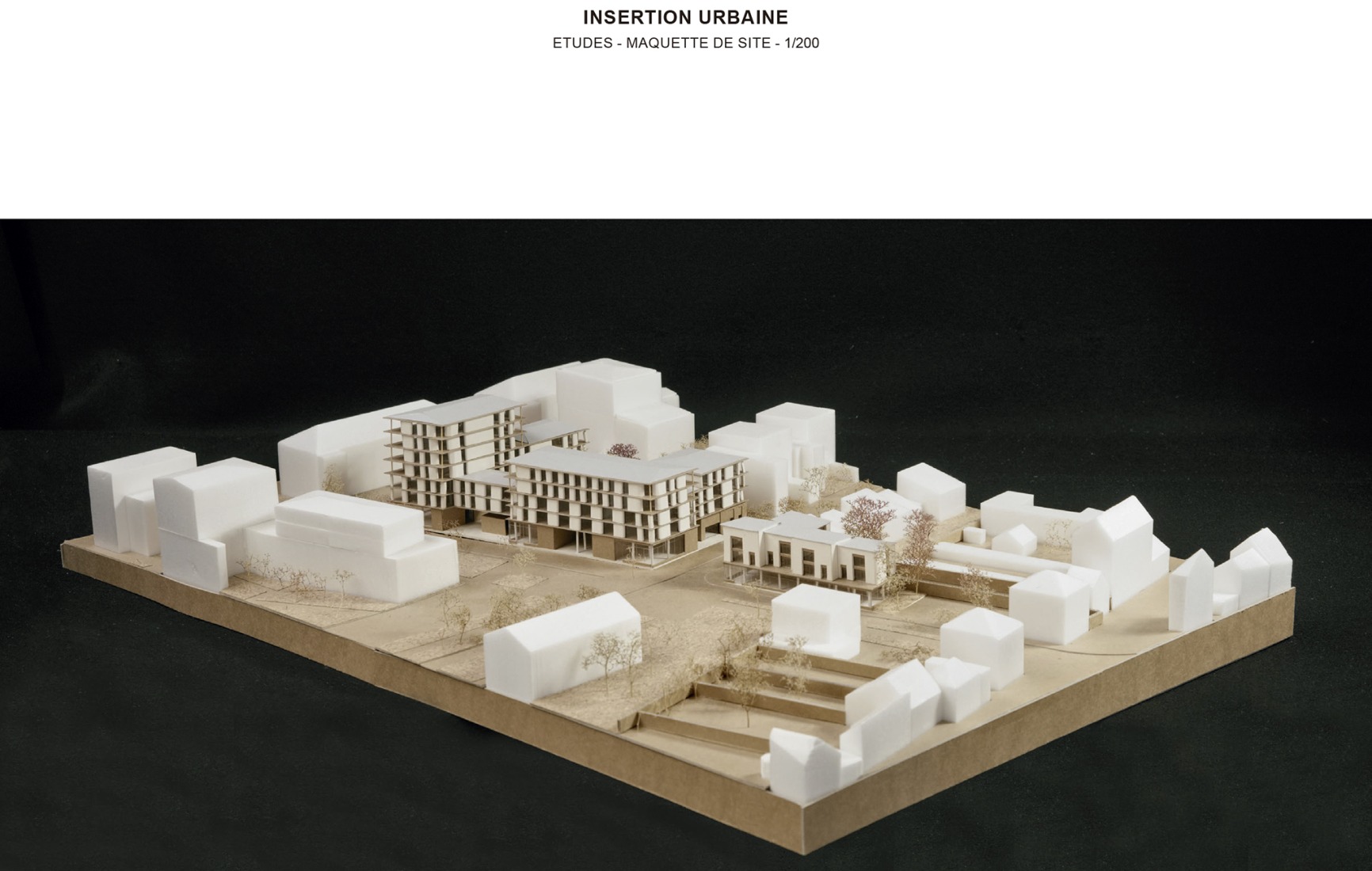 Model. 81 housing units by Atelier d’Architecture Ramdam + Palast. 