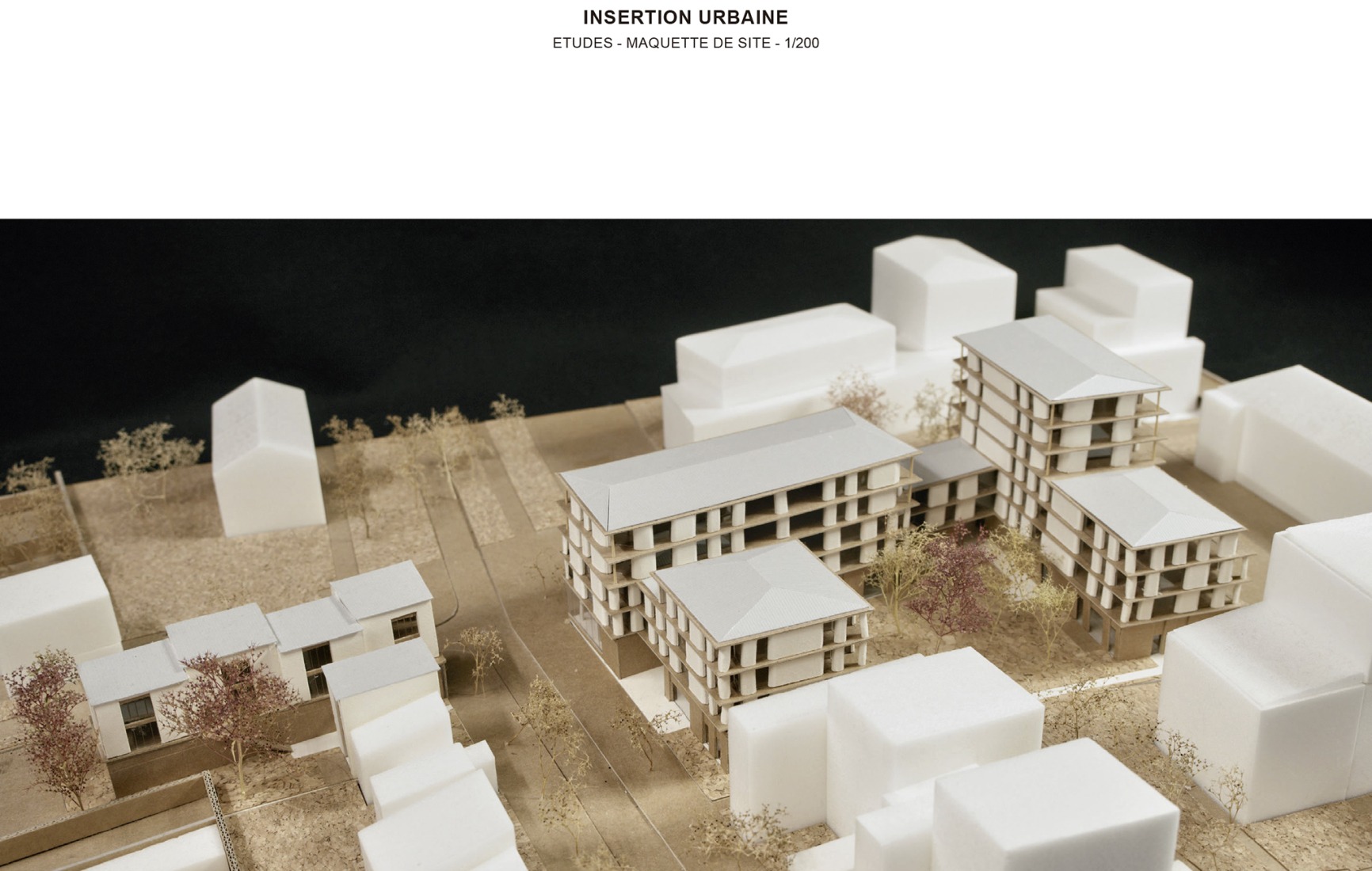 Model. 81 housing units by Atelier d’Architecture Ramdam + Palast. 