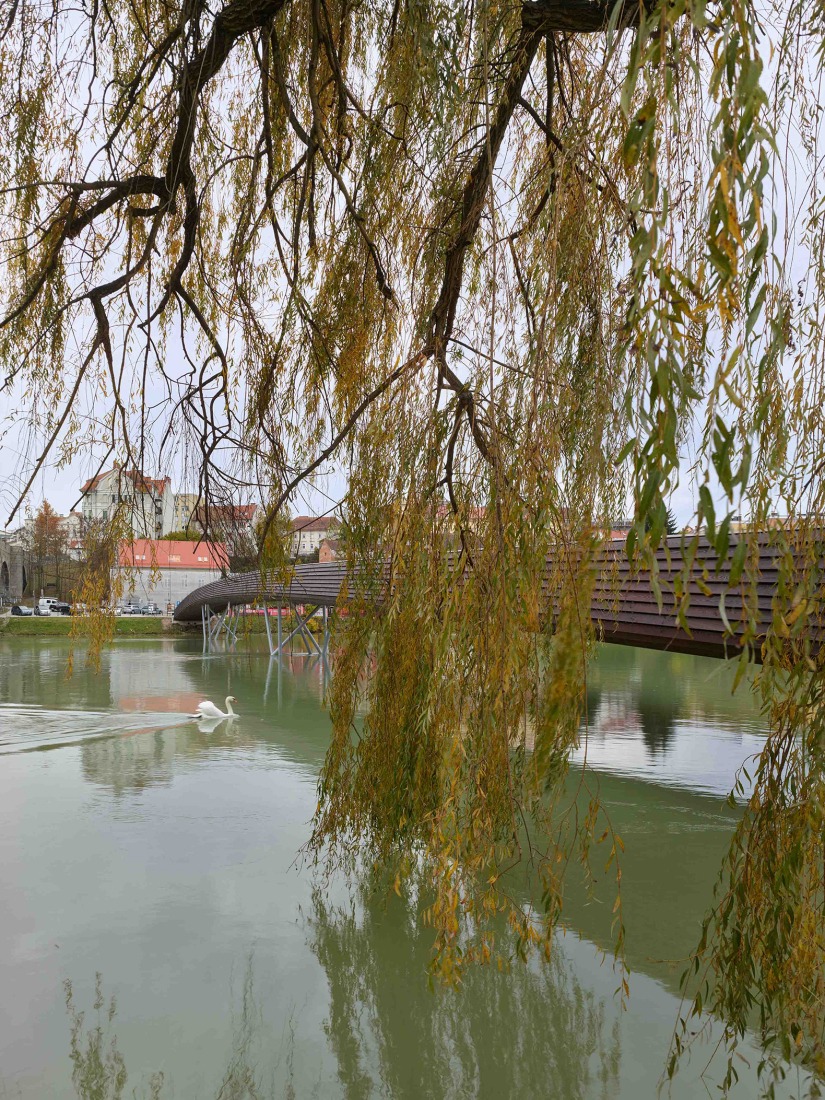 Splavarska Lent Tabor Bridge by Burgos & Garrido. Photograph by Roland Halbe.