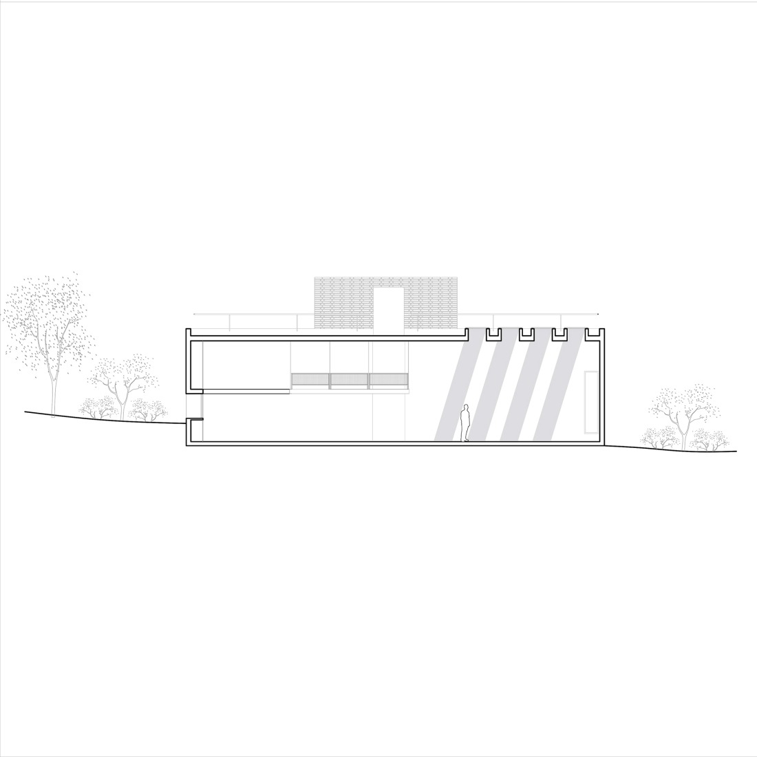 Sección longitudinal. Atelier Cambre por Esteras Perrote. 