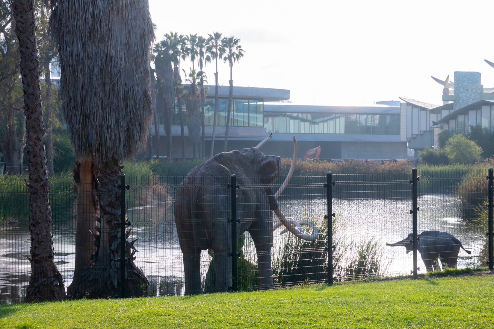 Galerías David Geffen en LACMA, vista desde el este que incluye el Pabellón de Arte Japonés de LACMA con el Pozo del Lago de los Pozos de Alquitrán de La Brea y esculturas gigantescas en primer plano. Fotografía por Iwan Baan, cortesía de Museum Associates/LACMA.