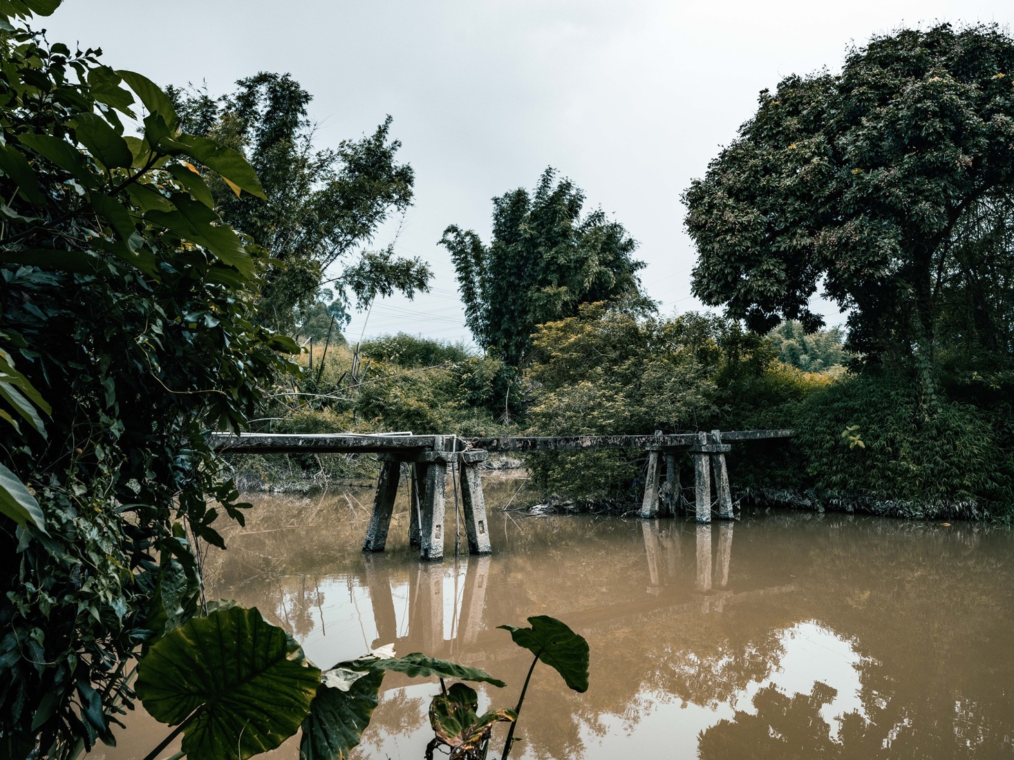 Fotos de investigación de campo. Puente Tianwu en la aldea de Tianwu. Fotografía por Cao Yutao.