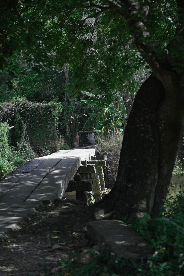 Fotos de investigación de campo. Puente Yongyuan en la aldea de Jianbei. Fotografía por Hong Lun.