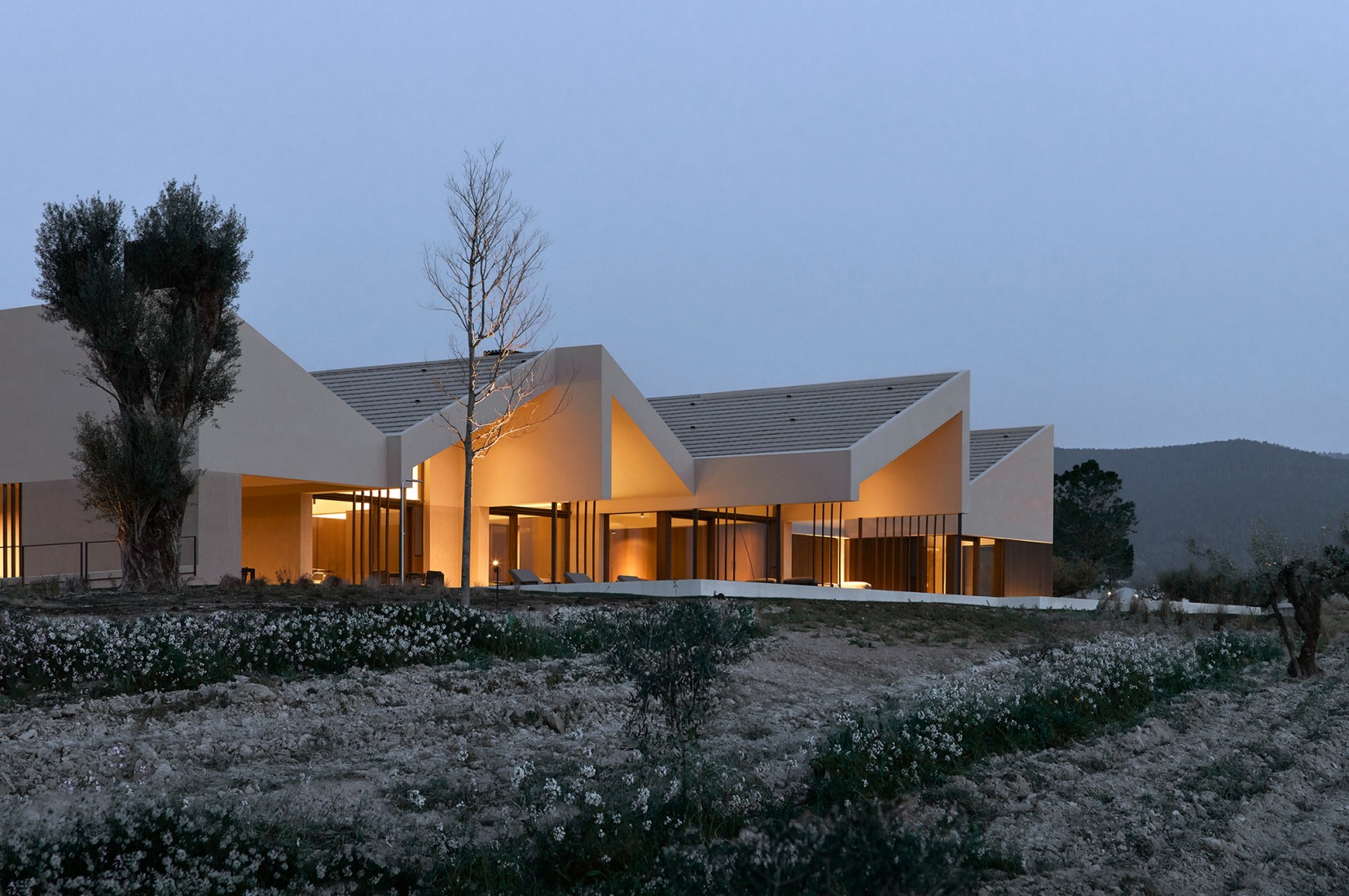 "Clos de la Vila" by Ramón Esteve. Photograph by Mariela Apollonio.