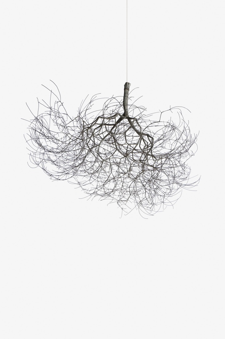 Ruth Asawa. Untitled (S.184, Hanging Tied -Wire, Single -Stem, Multi -Branched Form Based on Nature), ca. 1962. Galvanized steel wire, 76.2 × 101.6 × 101.6 cm. Collection of Diana Nelson and John Atwater. Copyright 2026 Ruth Asawa Lanier, Inc., Courtesy David Zwirner.