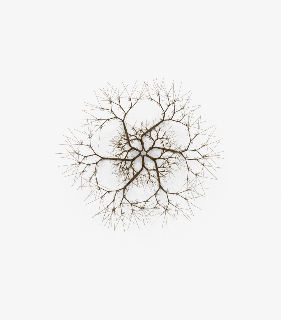 Ruth Asawa. Untitled (S.451, Wall-Mounted Tied-Wire, Open-Center, Six -Branched Form Based on Nature), ca. 1965. Brass and copper wire, 63.5 × 73.7 × 19.1 cm. Private collection. Rights 2026 Ruth Asawa Lanier, Inc., courtesy of David Zwirner; photo: Dan Bradica, courtesy of David Zwirner.