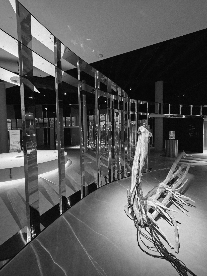 "Of The Earth" Exhibition by studioentropia. Photograph courtesy of studioentropia.