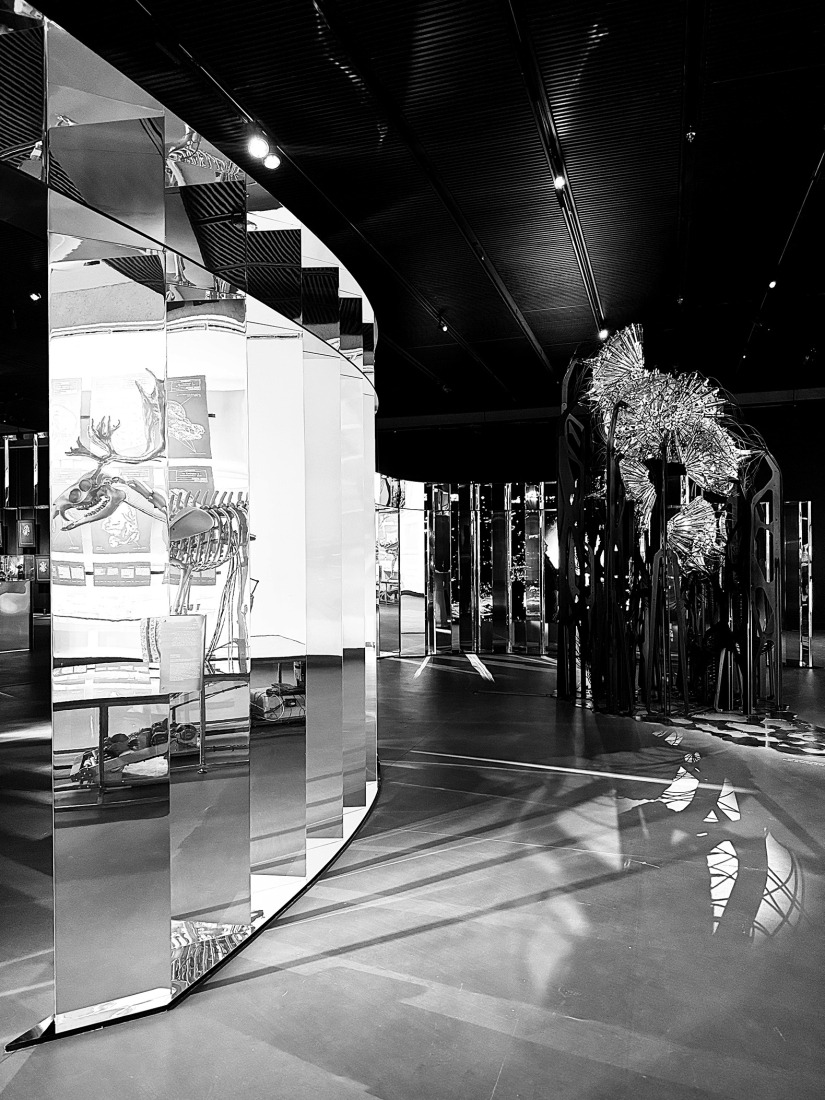 "Of The Earth" Exhibition by studioentropia. Photograph courtesy of studioentropia.