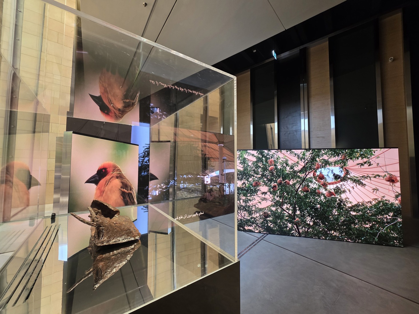 "Of The Earth" Exhibition by studioentropia. Photograph courtesy of studioentropia.