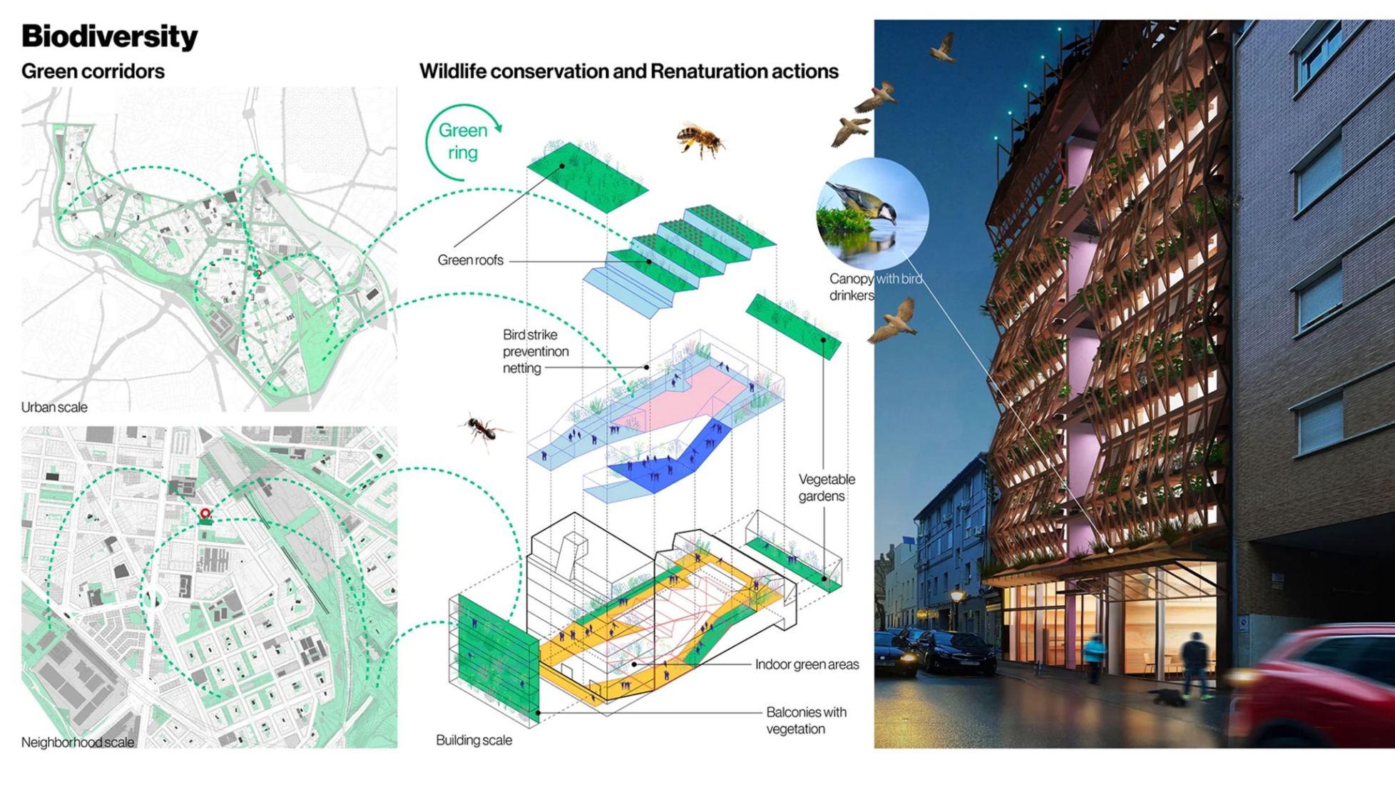   Integration into the urban ecosystem. Participation in biodiversity corridors. Building for Infinito Delicias by Husos + elii. 