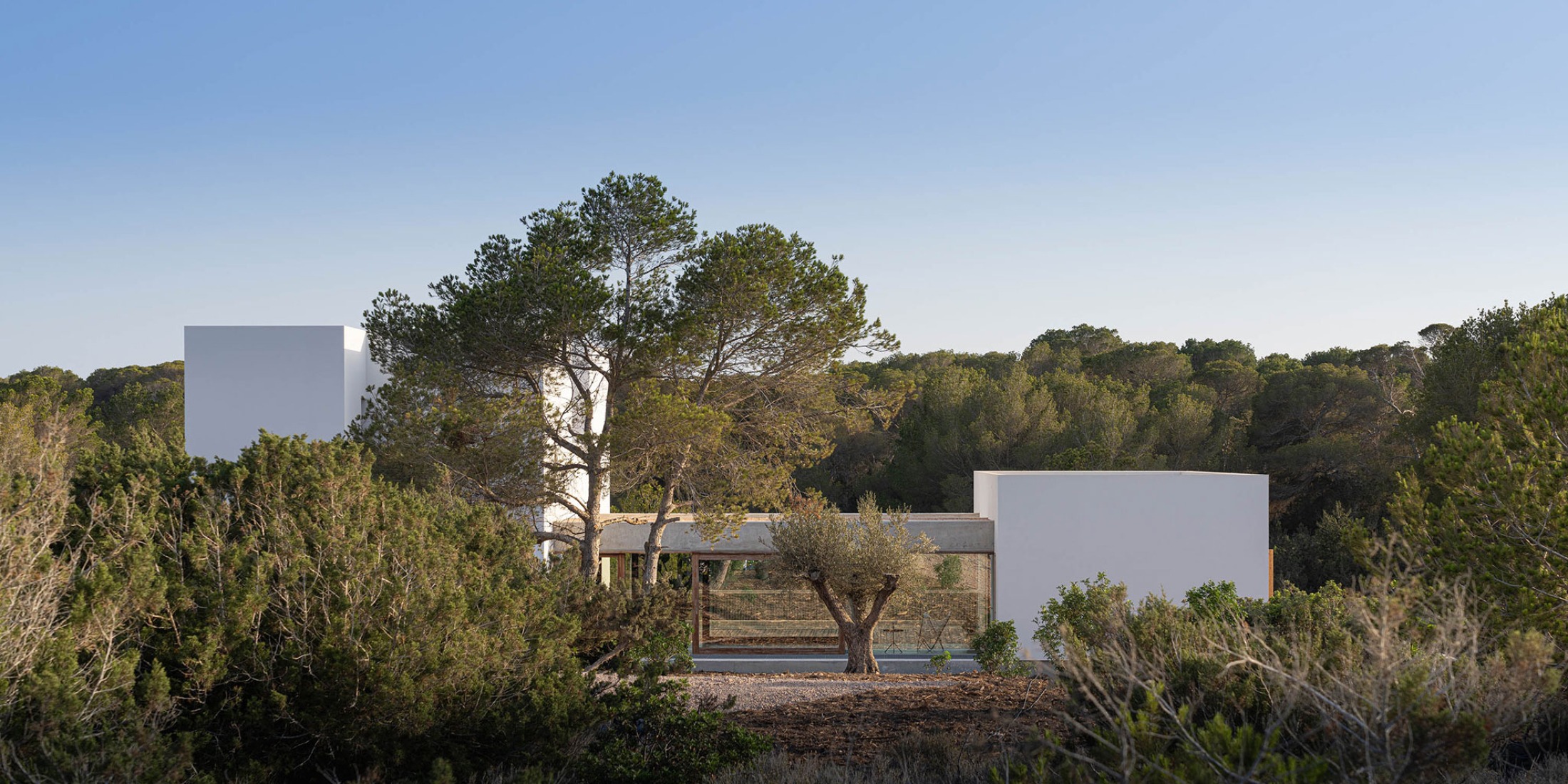 Ses Clotades by Marià Castelló. Photograph by Marià Castelló.