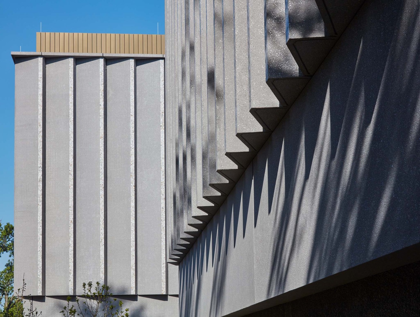 Princeton University Art Museum by Adjaye Associates. Photograph by Richard Barnes.