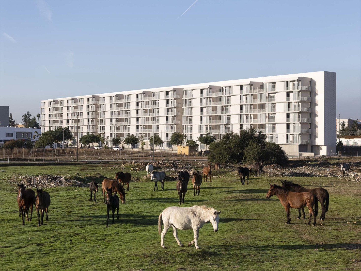 125 viviendas de protección oficial por Daroca Arquitectos + Práctica Arquitectura. Fotografía por Fernando Alda.  