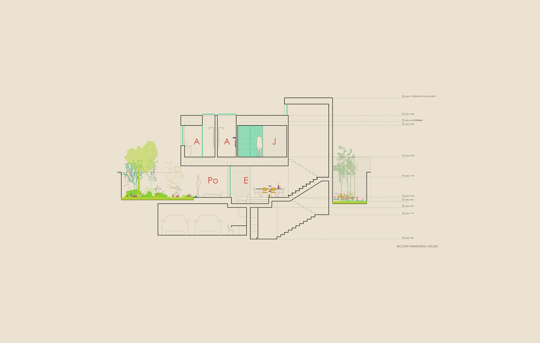 Section. MG Houses by delaVegaCanolasso.