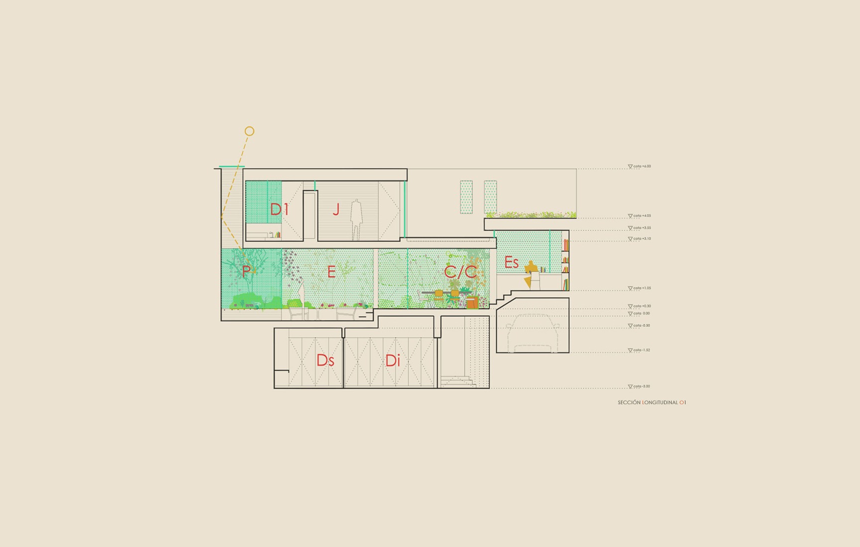 Section. MG Houses by delaVegaCanolasso.