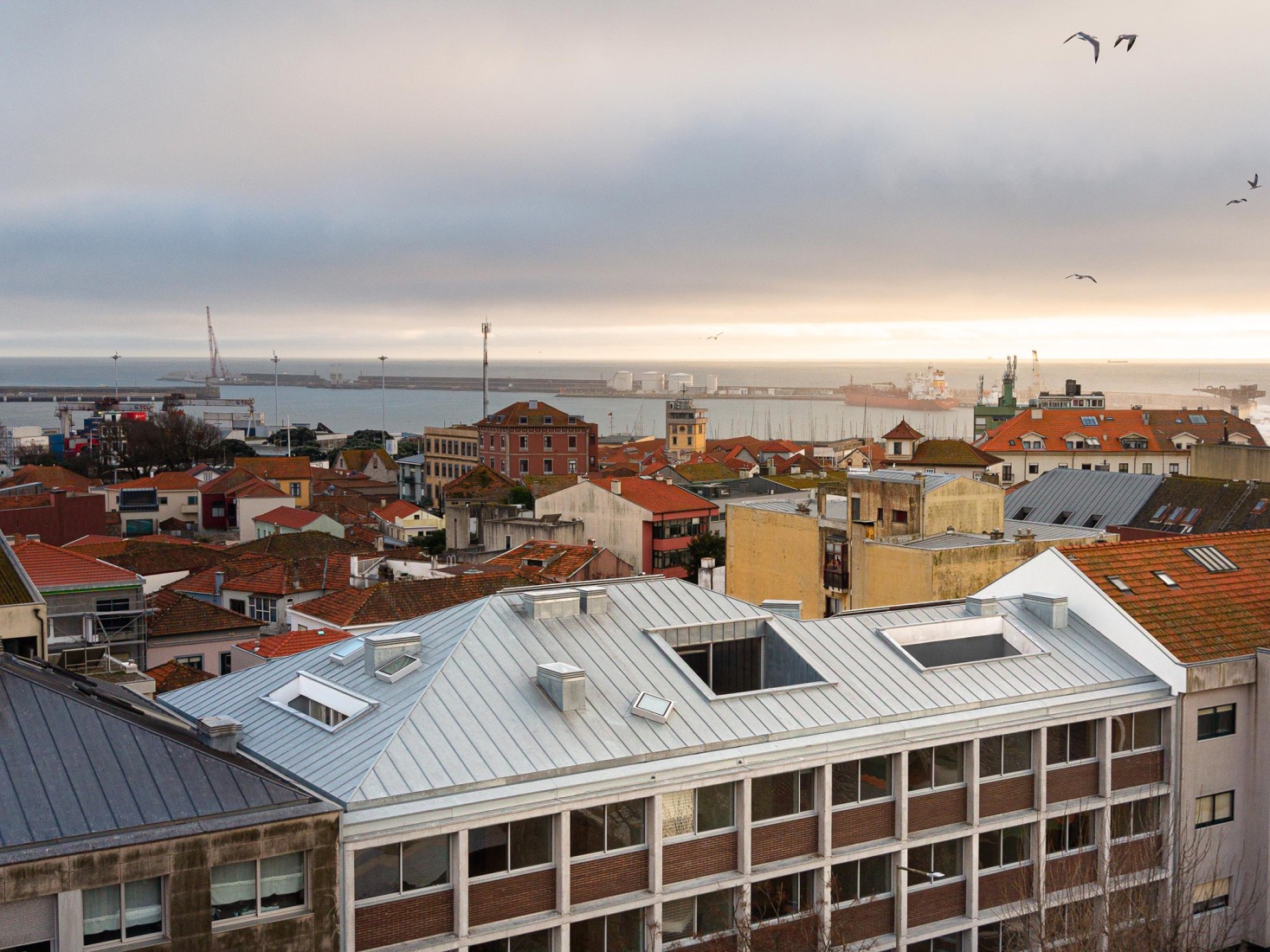 Hintze Ribeiro Multifamily Housing Building by Helder da Rocha Arquitectos. Photograph by Ivo Tavares Studio.