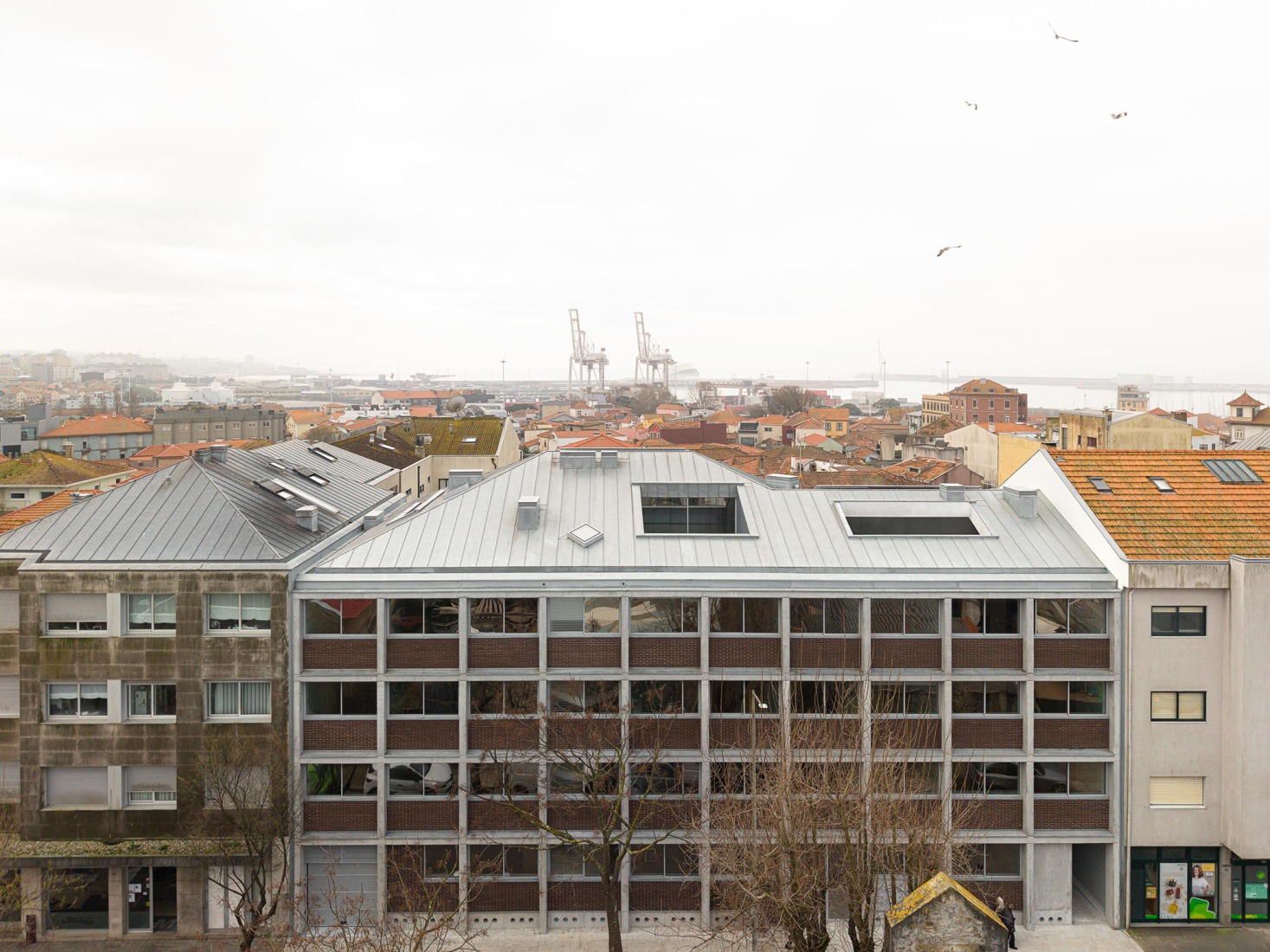 Hintze Ribeiro Multifamily Housing Building by Helder da Rocha Arquitectos. Photograph by Ivo Tavares Studio.