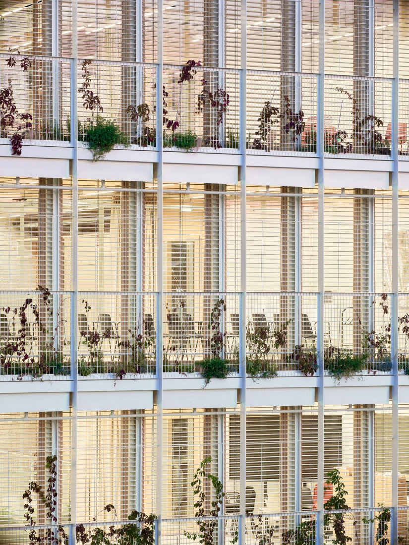 Sants Social Centre by Laos Arquitectura + Mercè Zazurca Codolà + César Sánchez Medrano. Photograph by Jose Hevia.