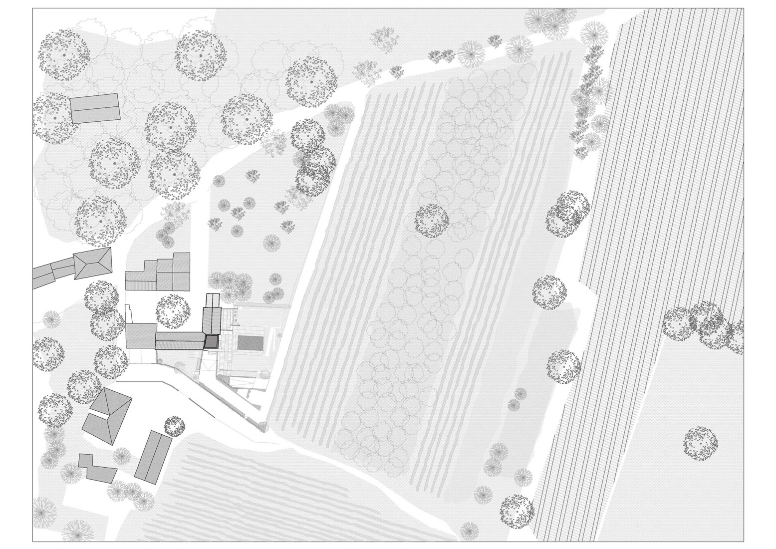 Plano de situación. Corte Renèe por Bricolo Falsarella.