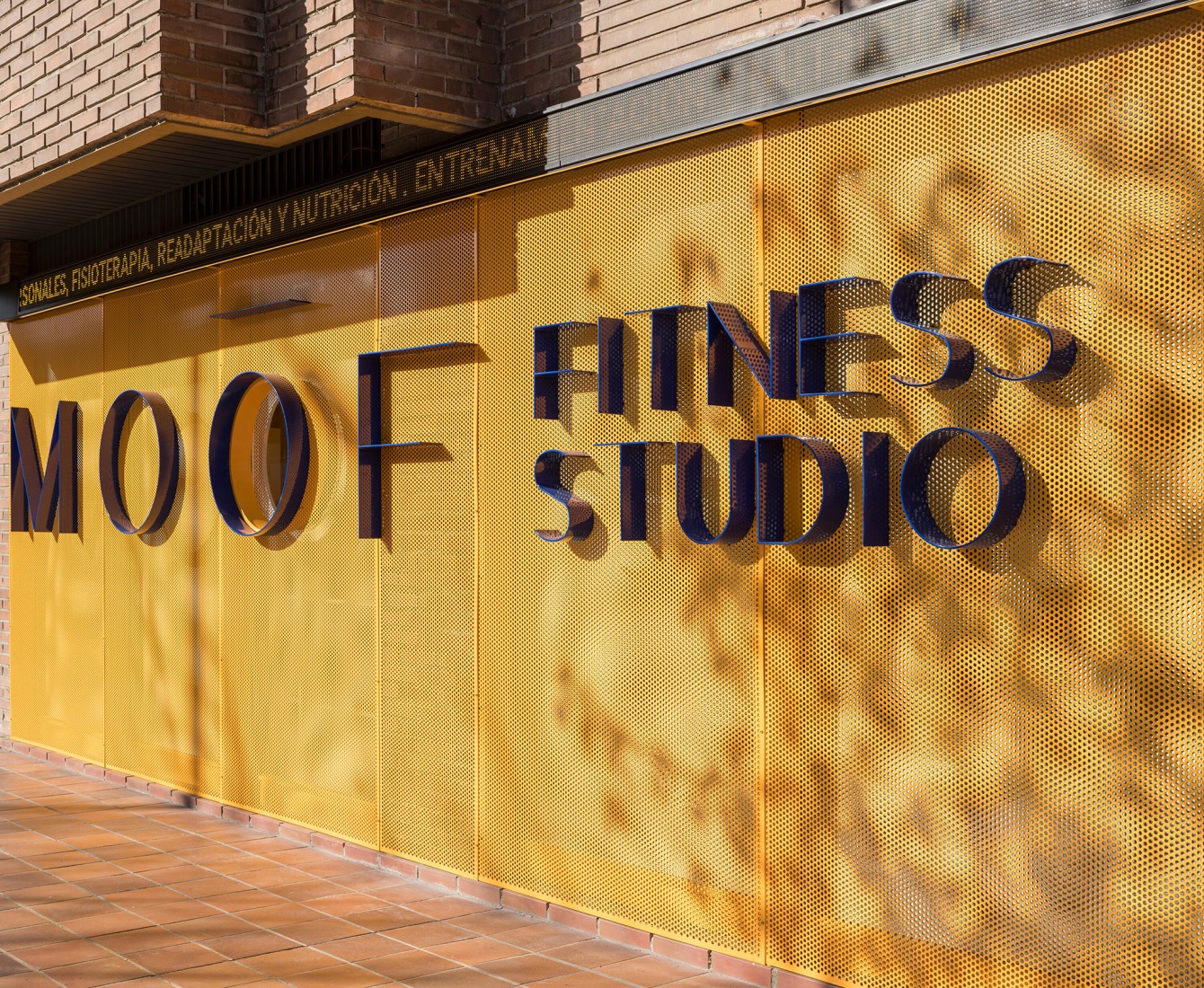 Moof Fitness Studio por Canobardin. Fotografía por Imagen Subliminal.