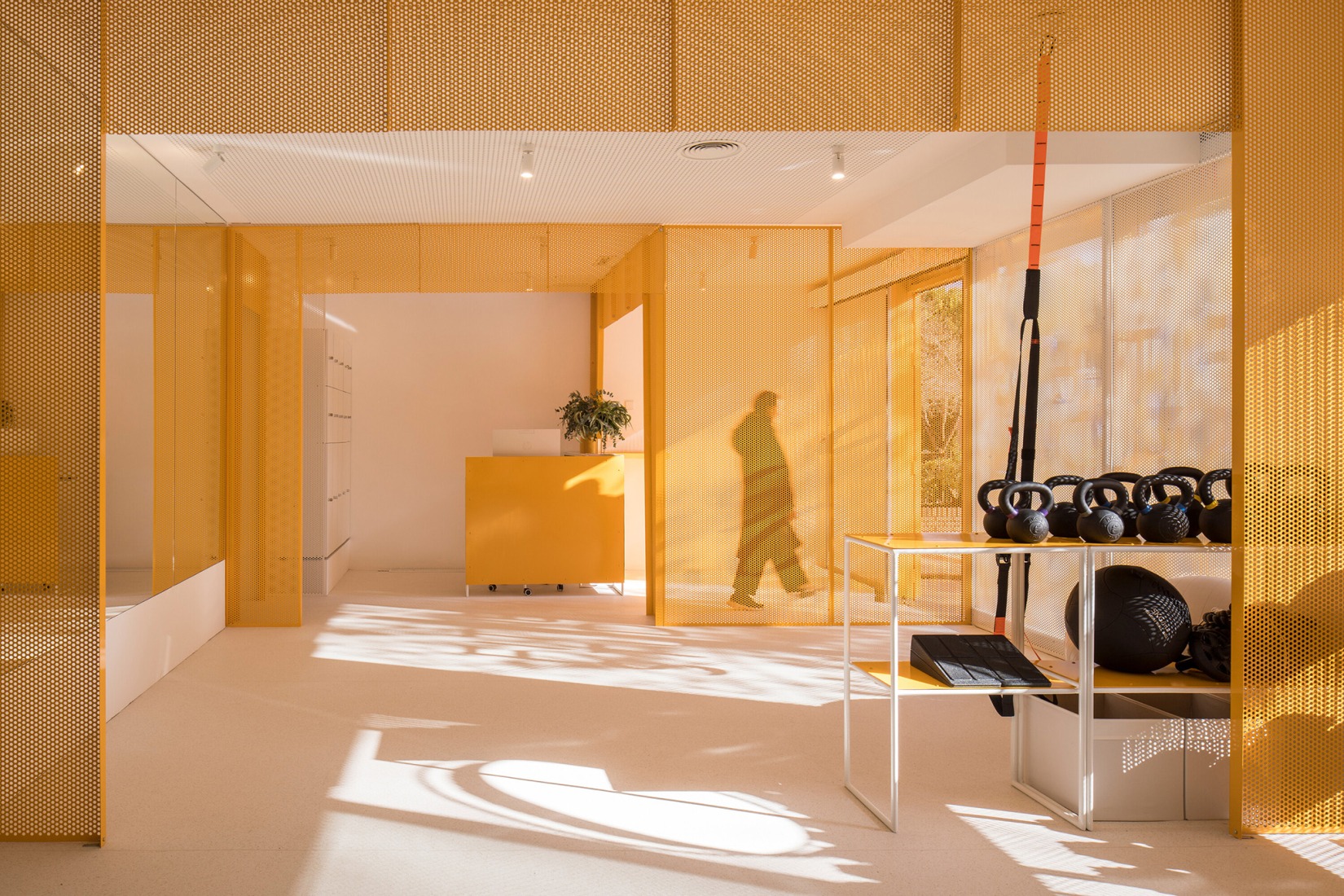 Moof Fitness Studio por Canobardin. Fotografía por Imagen Subliminal.