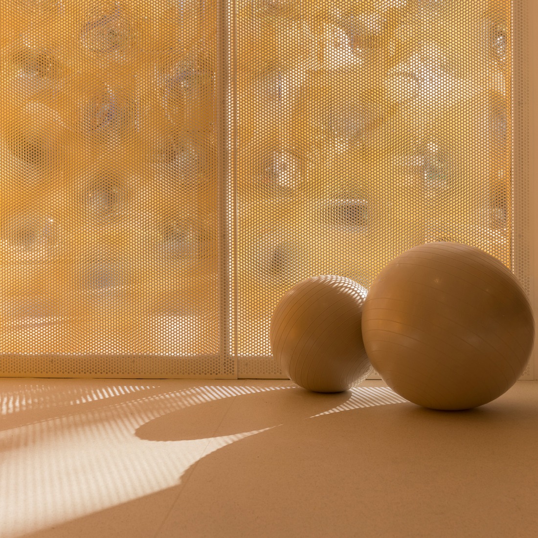 Moof Fitness Studio por Canobardin. Fotografía por Imagen Subliminal.