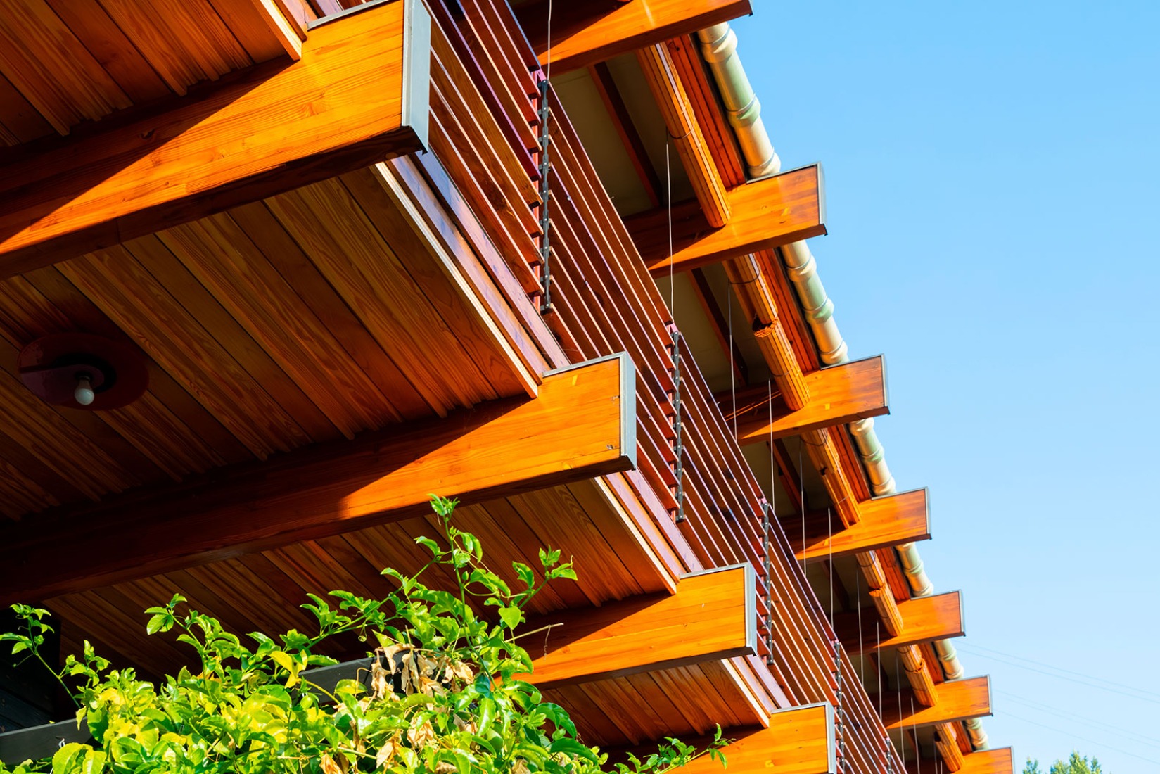 Cano House by Diego Cano-Lasso. Photograph by Iwan Baan.