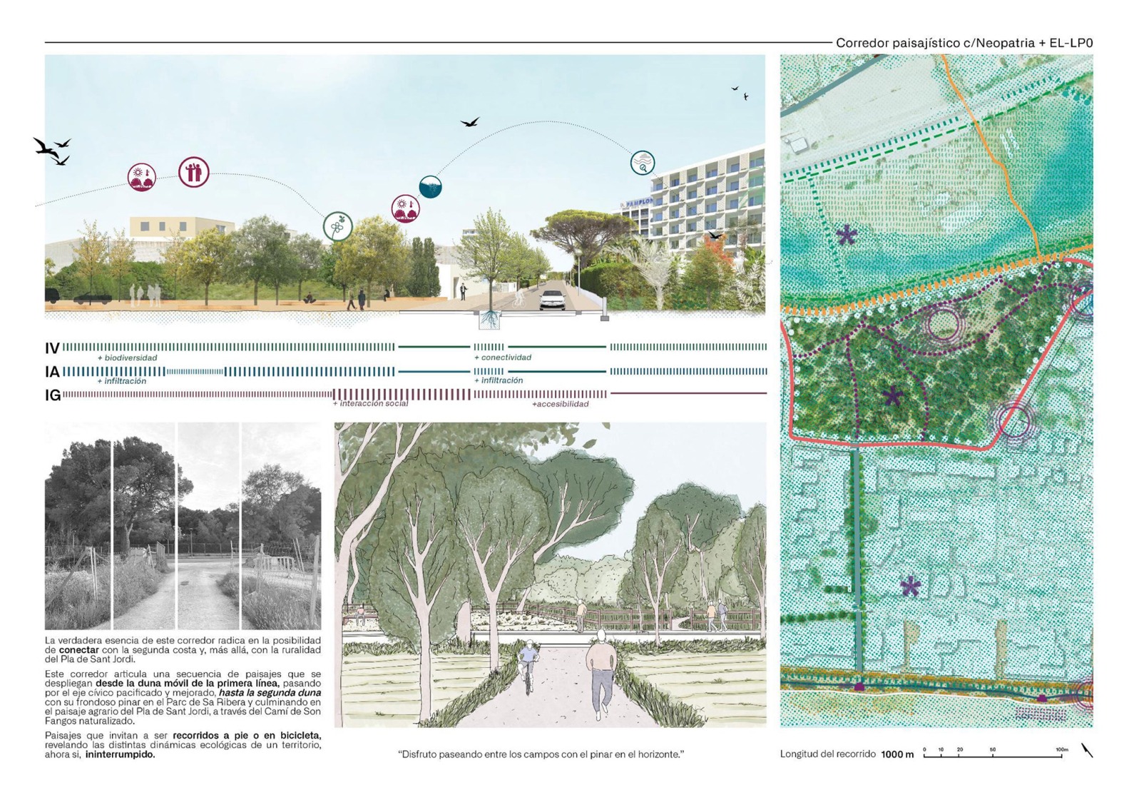 Detailed plan. Strategic Regeneration Plan for Playa de Palma by LANDLAB + Fiol Aquitectes.