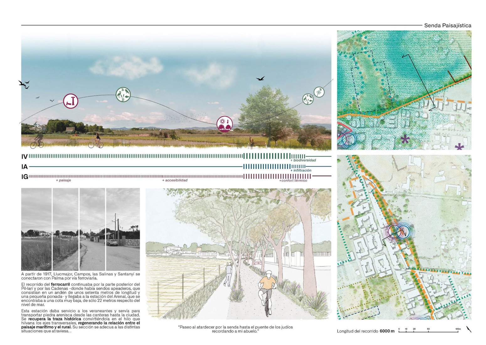 Detailed plan. Strategic Regeneration Plan for Playa de Palma by LANDLAB + Fiol Aquitectes.