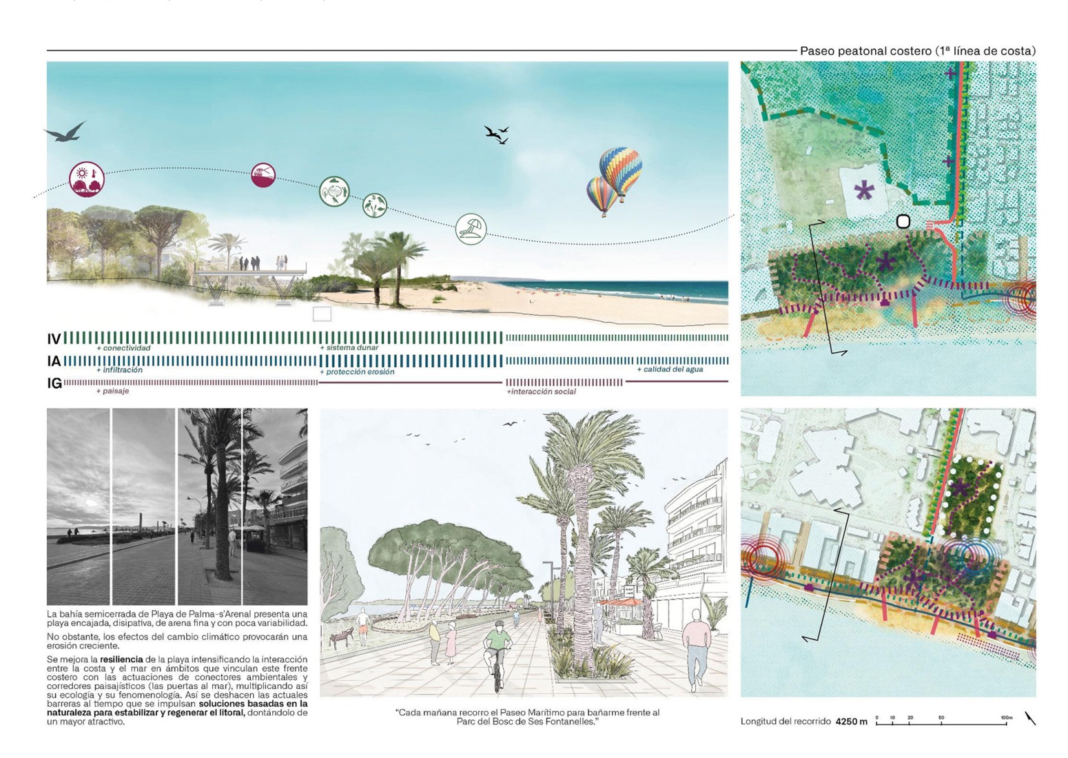 Detailed plan. Strategic Regeneration Plan for Playa de Palma by LANDLAB + Fiol Aquitectes.
