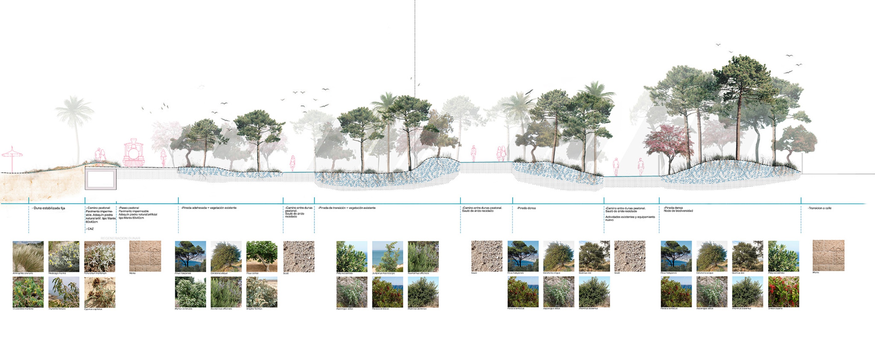 Section. Strategic Regeneration Plan for Playa de Palma by LANDLAB + Fiol Aquitectes.