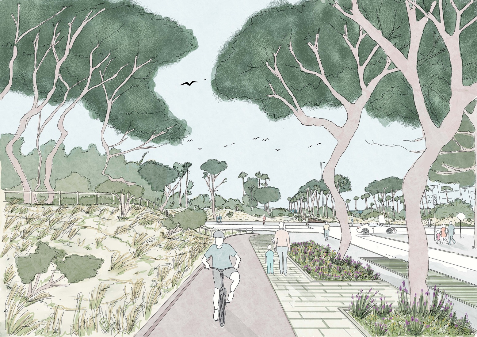 Drawings. Strategic Regeneration Plan for Playa de Palma by LANDLAB + Fiol Aquitectes.
