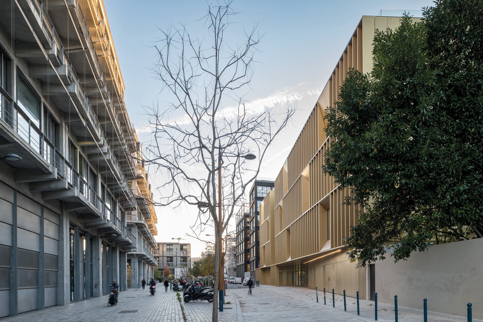 School complex Sophie Germain by Marjan Hessamfar and Joe Vérons. Photograph by Jean-François Tremege.