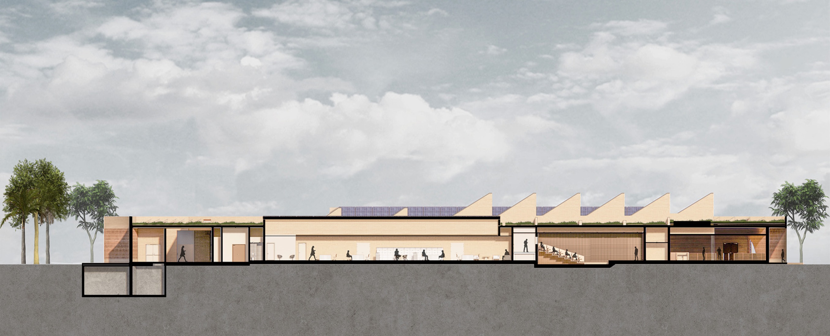 Section. Museum of West African Art (MOWAA) Institute by Adjaye Associates. 