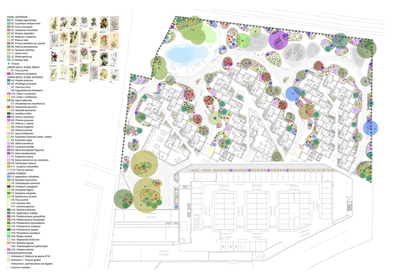 Gardening. Oceanika Coliving by baKpak + EOVASTUDIO.