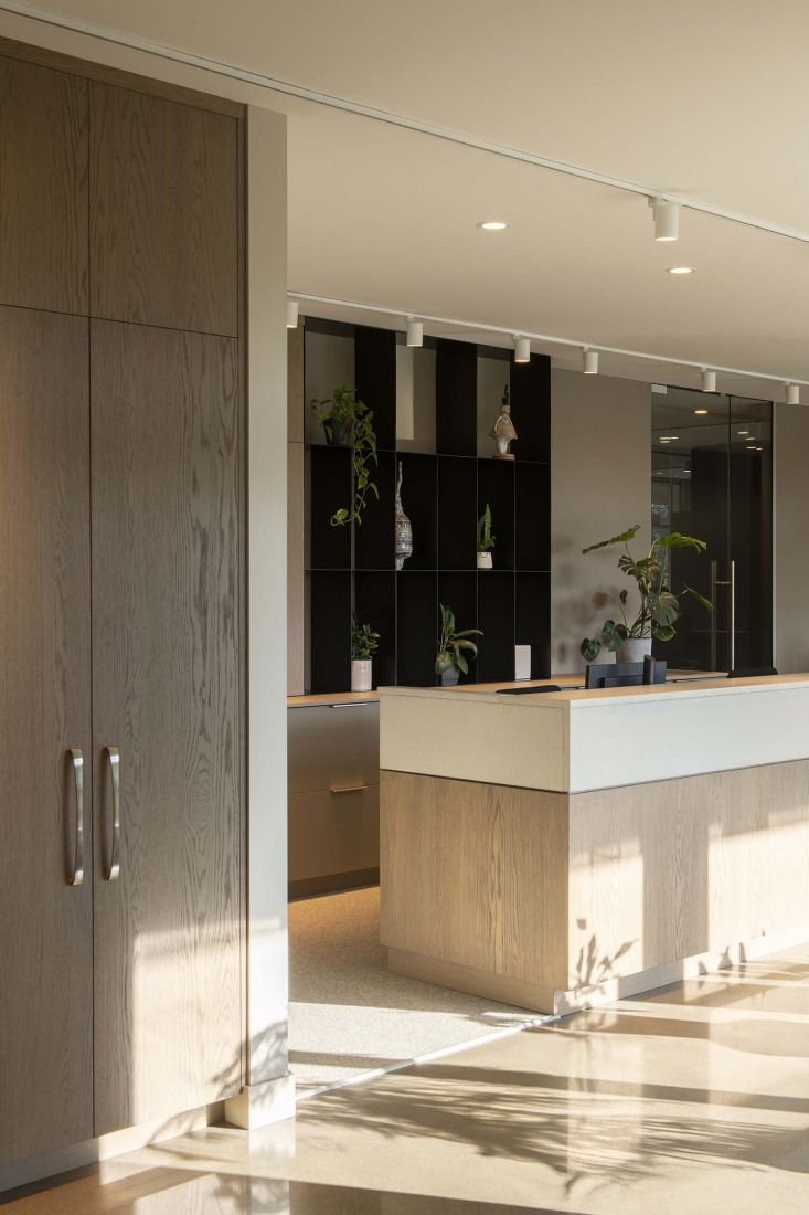 Des Cimes Dental Clinic by CARTA. Photograph by David Boyer.