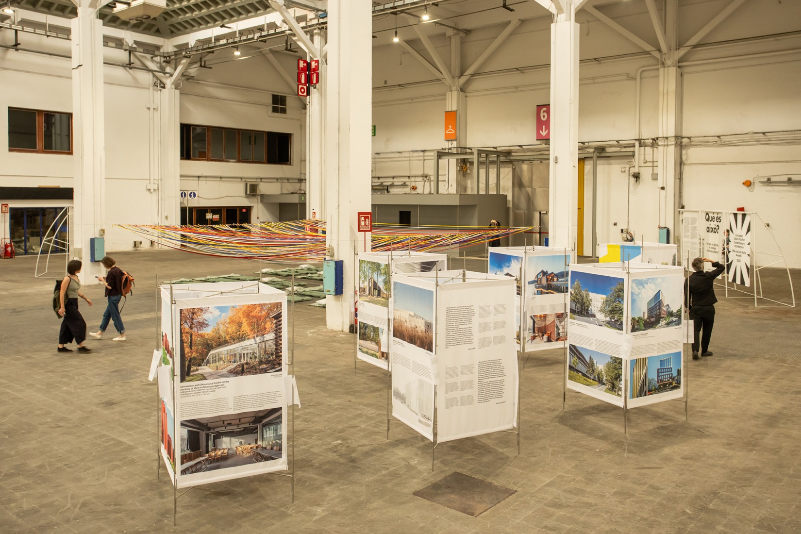 «¿Qué es esto? ¿Un spa, un gimnasio, un zoo de animales pequeñitos?». La Fundació Mies van der Rohe exhibe su colección en el Palau Victòria Eugènia. Fotografía por Anna Mas.