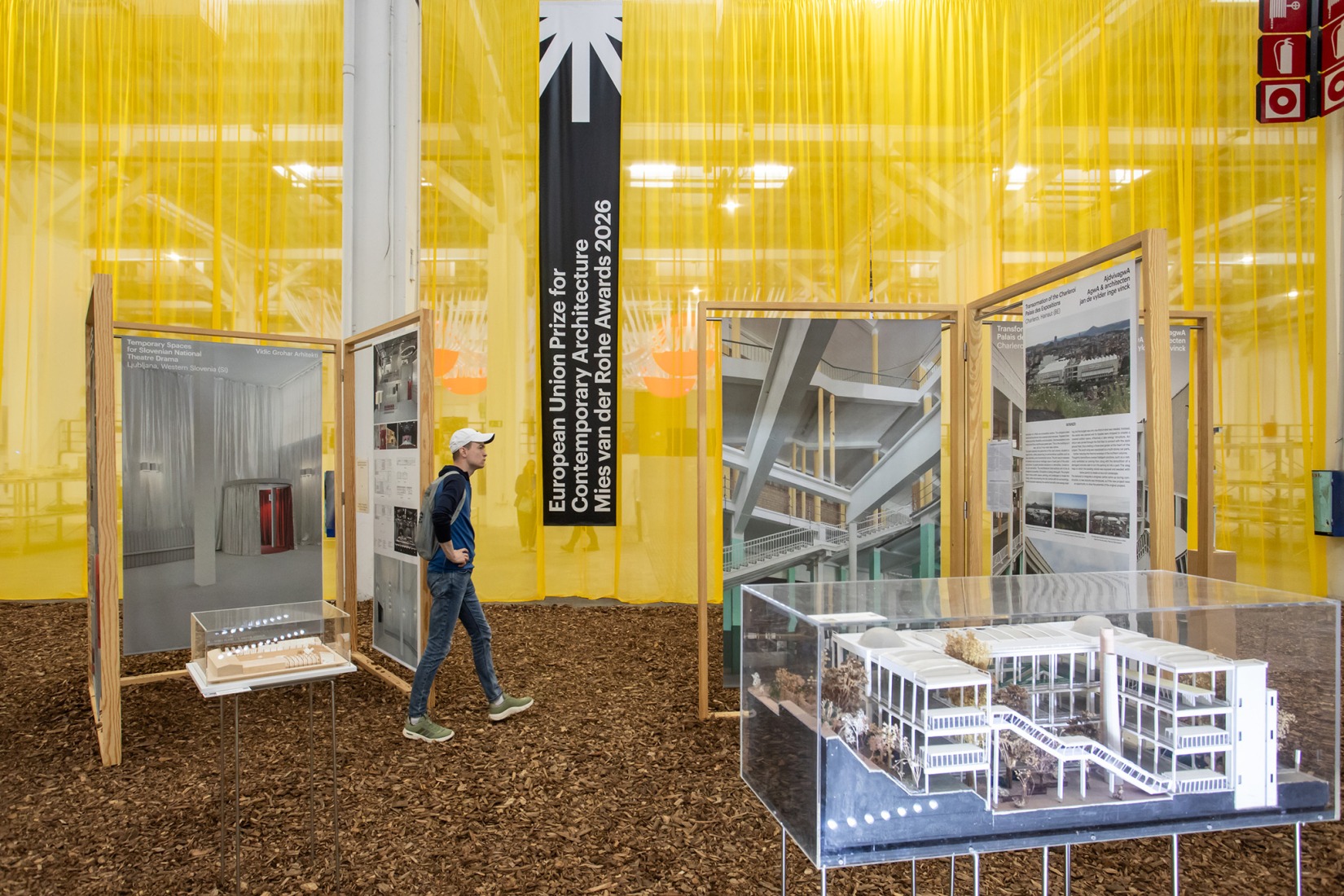 «¿Qué es esto? ¿Un spa, un gimnasio, un zoo de animales pequeñitos?». La Fundació Mies van der Rohe exhibe su colección en el Palau Victòria Eugènia. Fotografía por Anna Mas.