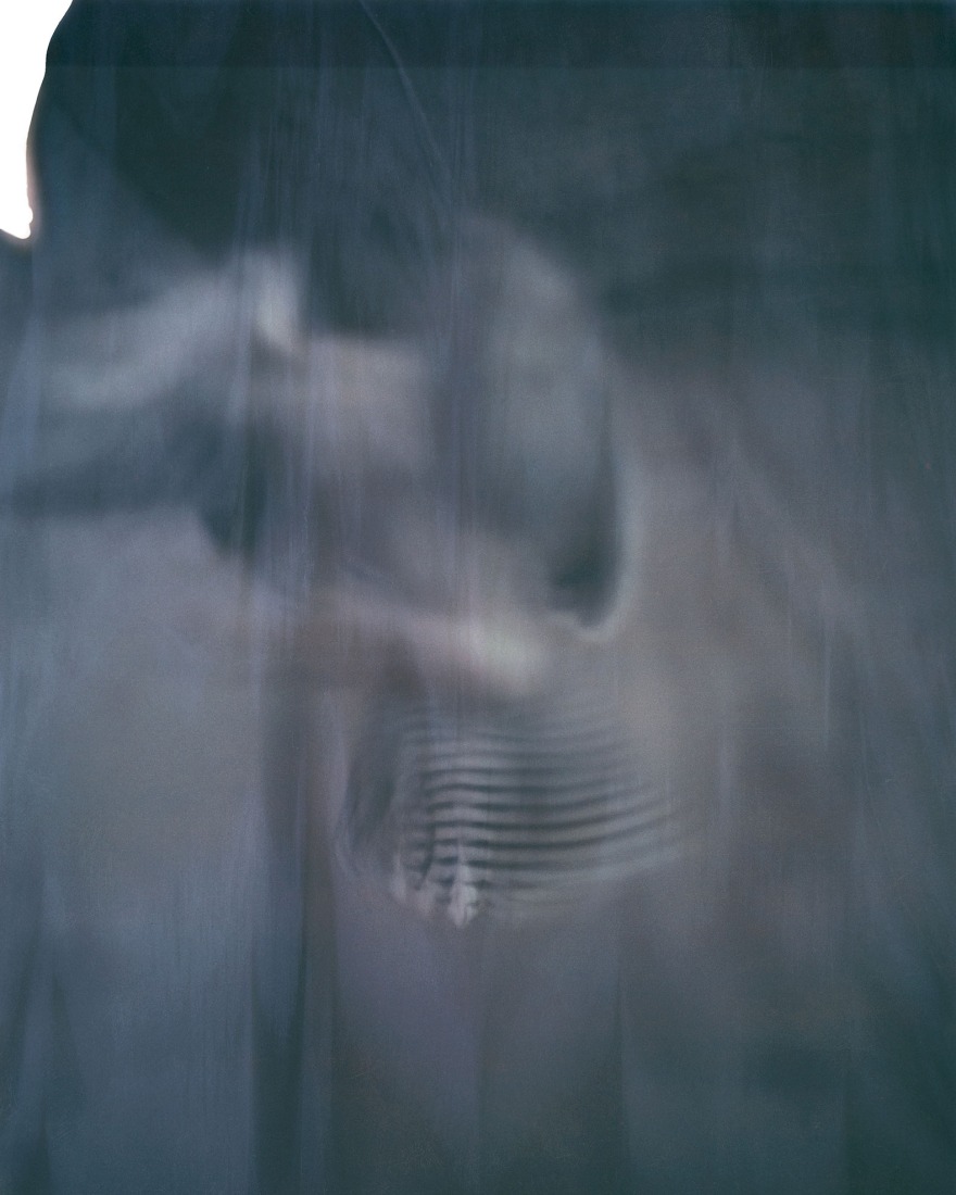 Halcón desvanecido, París 2020. Fotografía de Paolo Roversi.