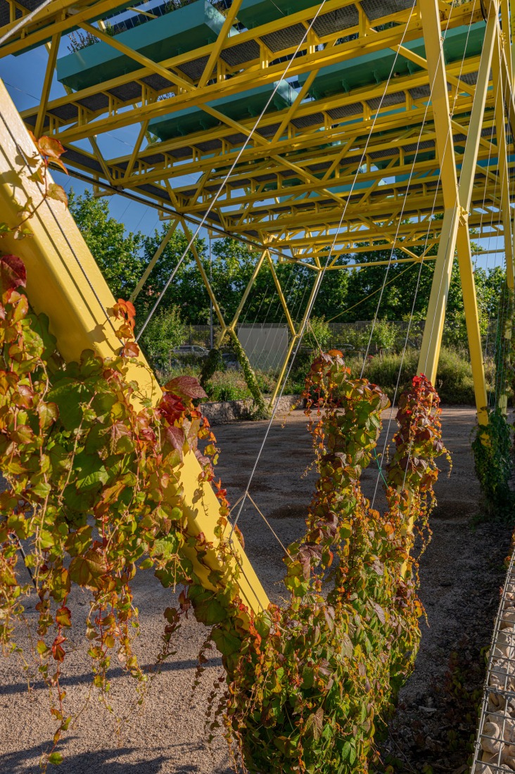 Circulating Garden for the CIEC by gaSSz arquitectos. Photograph by Emilio Parra Doiztúa.