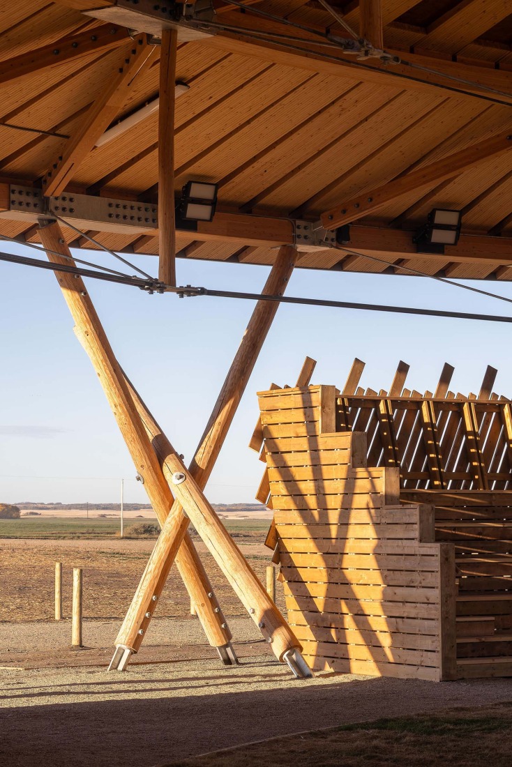 Muscowpetung Powwow Arbour by Oxbow Architecture and Richard Kroeker. Photograph by Lindsay Reid.