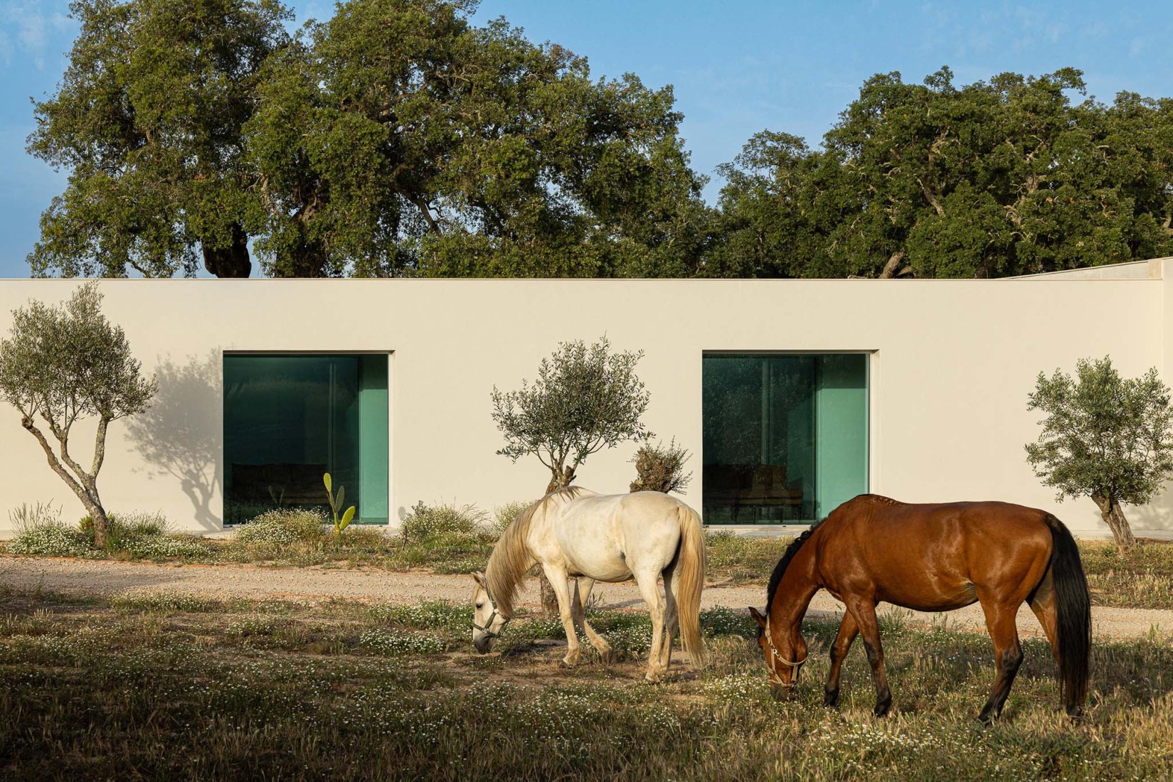 Casa M Ariane por Sabrab Architecture. Fotografía por Ivo Tavares Studio.