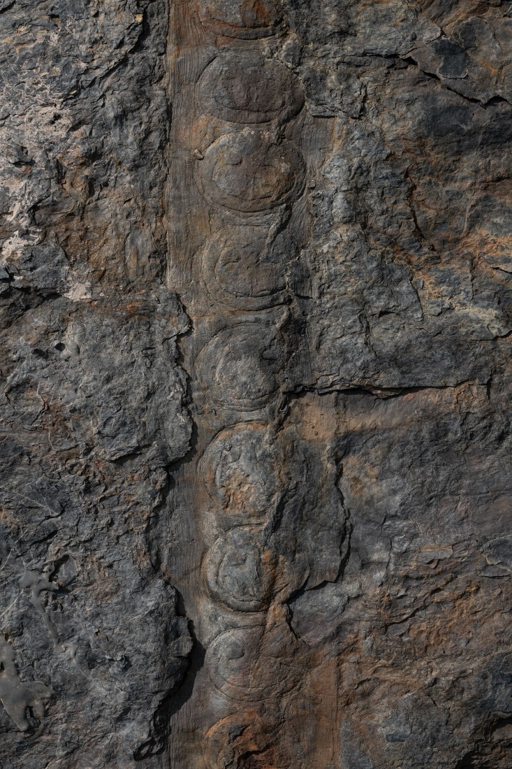 Series: The Soils of Peal. Title: Soils of Peal VIII, 2023. Pigment print on cotton paper. Dimensions 150x100 cm. Courtesy of Jorge Yeregui, VEGAP, Madrid, 2026.