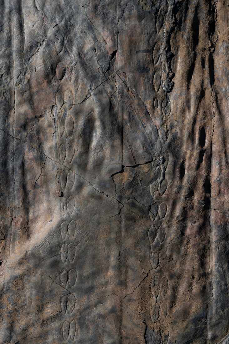 Series: The Floors of Peal. Title: The Floors of La Inglesa I, 2023. Pigment print on cotton paper. Dimensions 150x100 cm. Courtesy of Jorge Yeregui, VEGAP, Madrid, 2026.