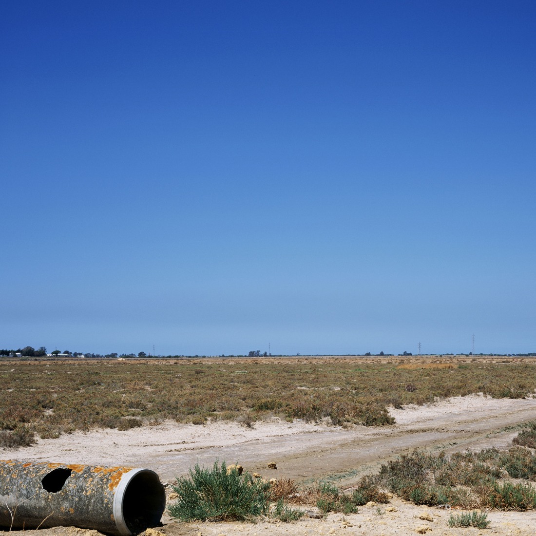 Cotacero (detail: Resumption, 407 ha, 2003), 2006. Print on Premium Whiteback Paper vinyl. Dimensions 50x50 cm. Courtesy of Jorge Yeregui, VEGAP, Madrid, 2026.