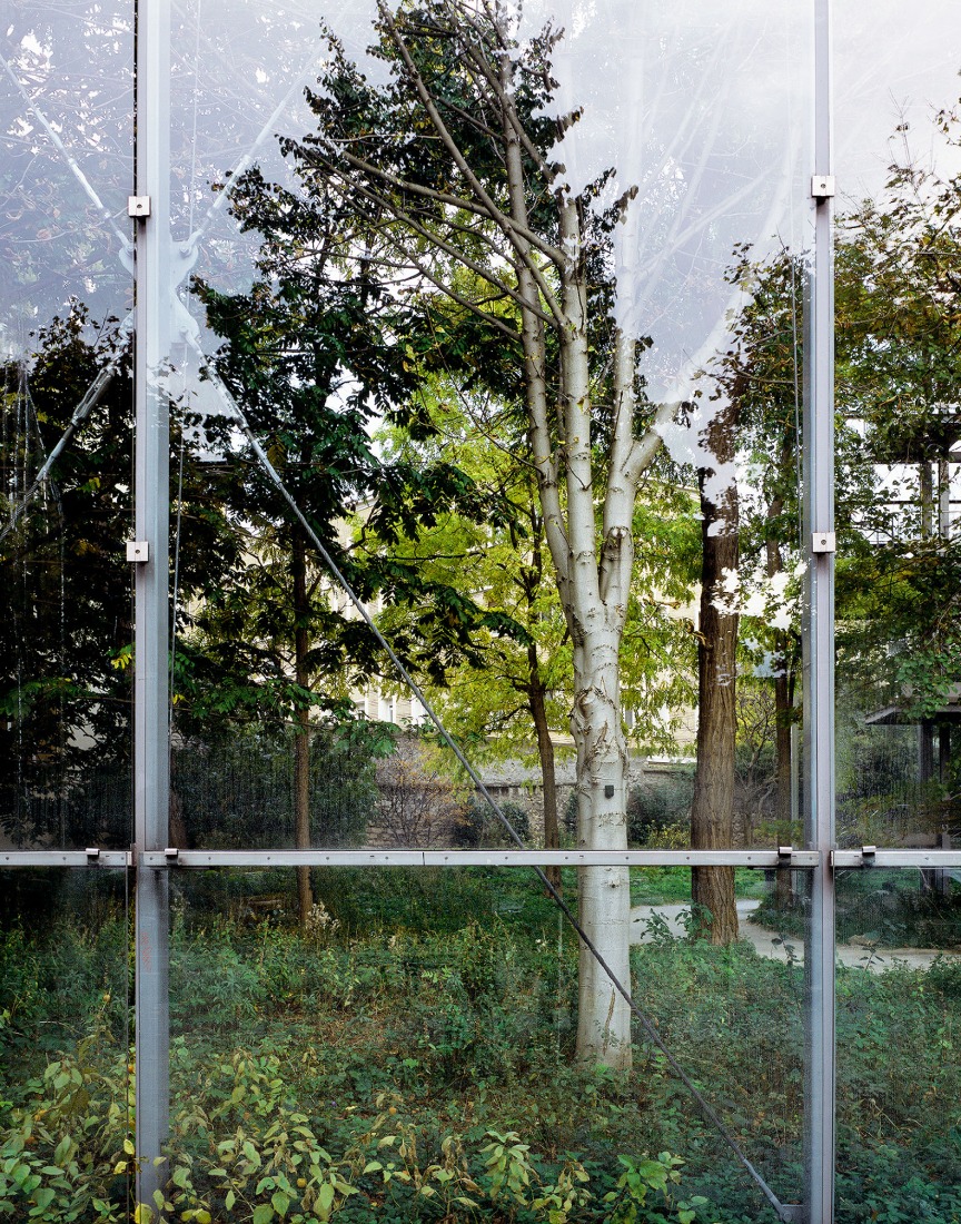 Minimal Landscapes Series. Title: The Herbarium, Fondation Cartier, Paris, 2010. Pigment print on cotton paper. Dimensions 153x240 cm. Courtesy of Jorge Yeregui, VEGAP, Madrid, 2026.