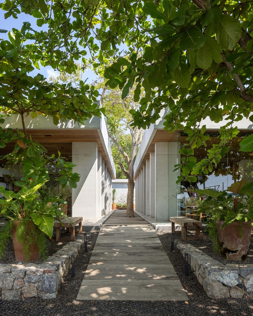 "Cuattro Casa de Café" by Faci Leboreiro. Photograph by Rafael Gamo.